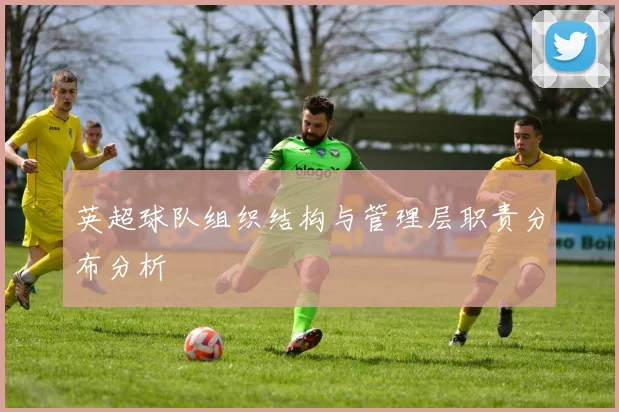 英超球队组织结构与管理层职责分布分析